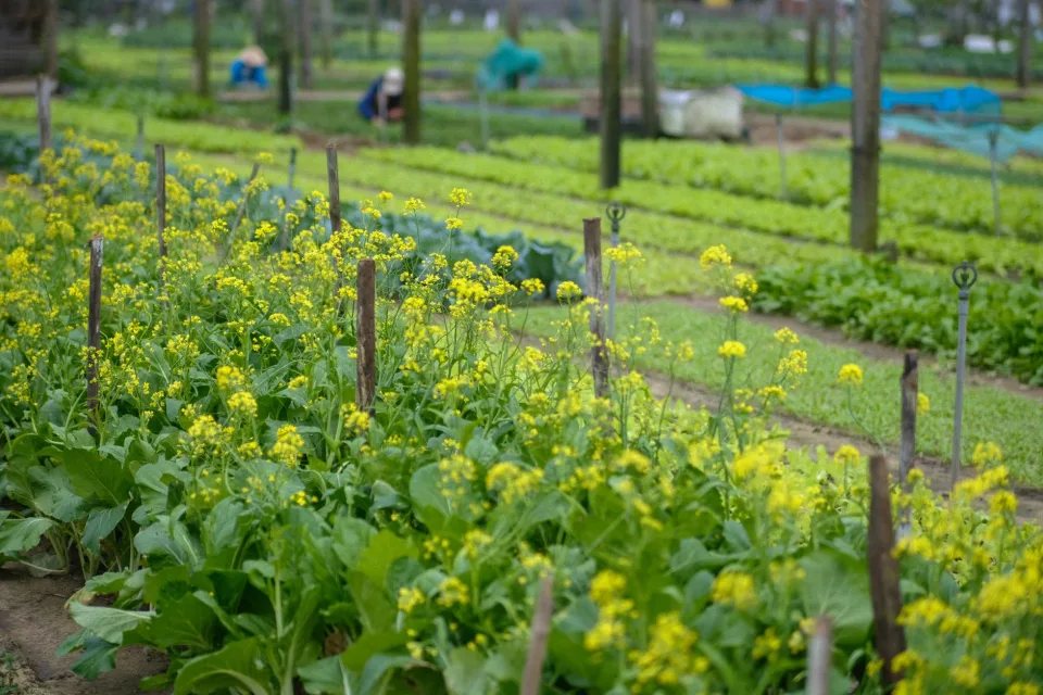 Kho phân bón, vật tư